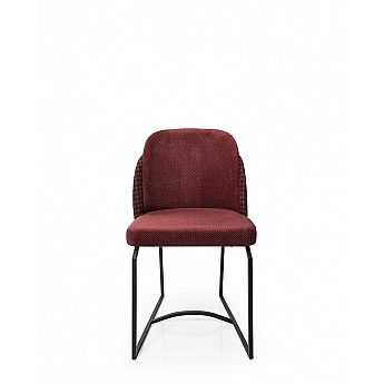 Chair Cat